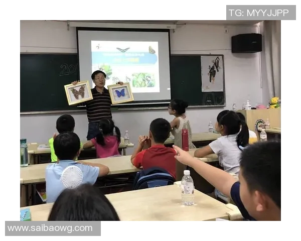 张宁的奋斗历程与成就探索：从普通学子到行业领军人物的成长之路